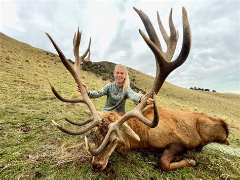 red stag casno.